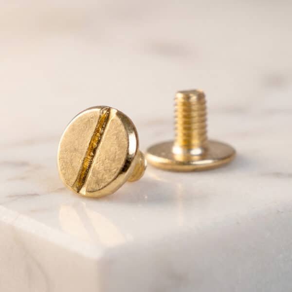 Set of 2 Brass Screws